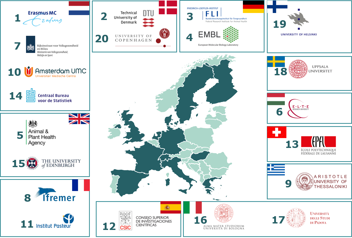 VEO Partners. Graphic VEO Project