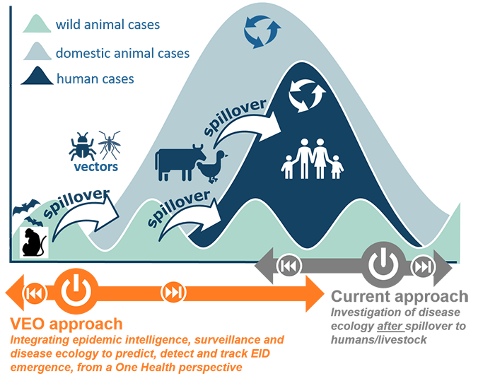 VEO Approach. Graphic: VEO Project